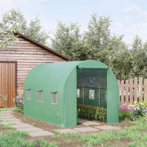 green polytunnel greenhouse with tomatoes in