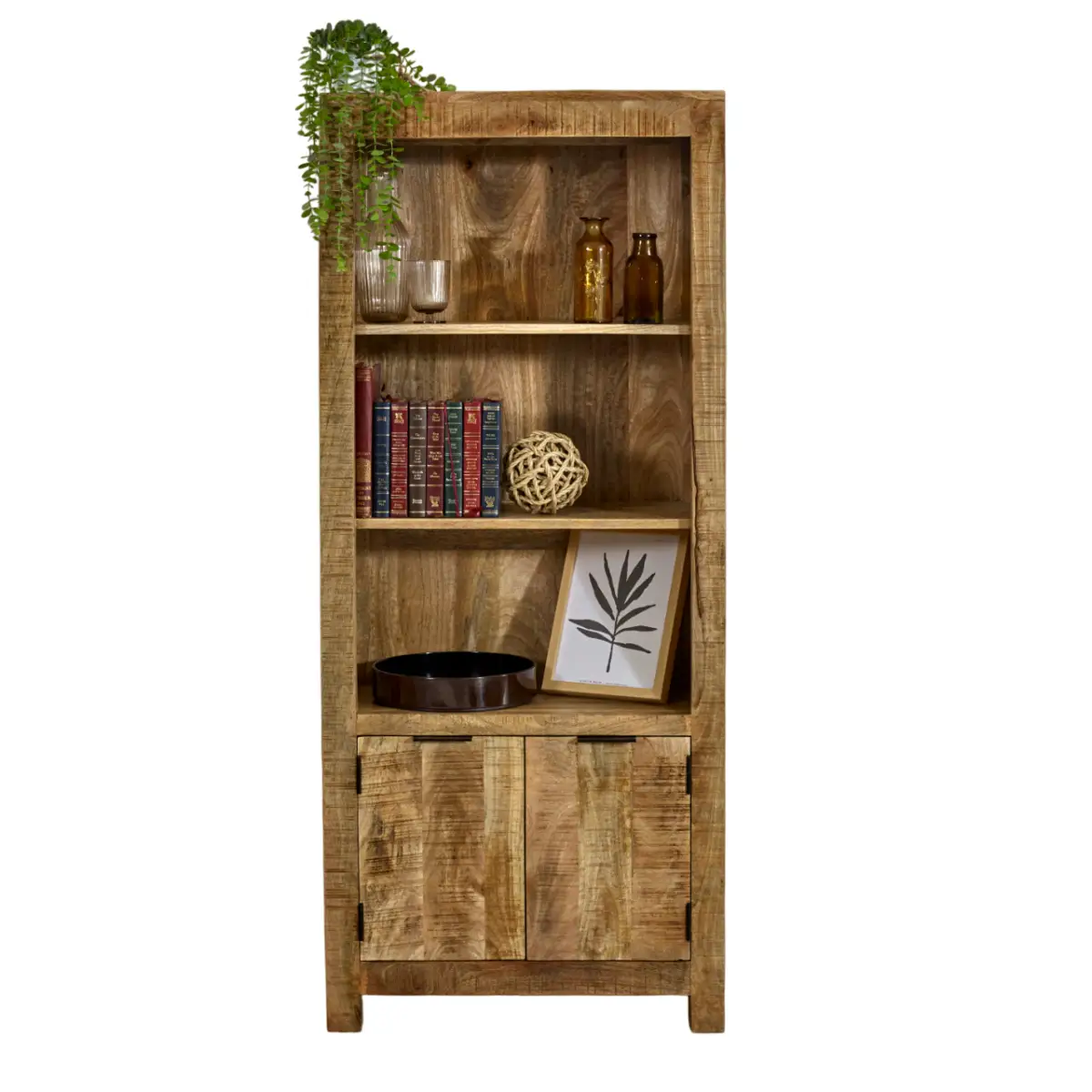 Indian Hub Surrey Solid Wood Bookcase With Doors - Bookcase