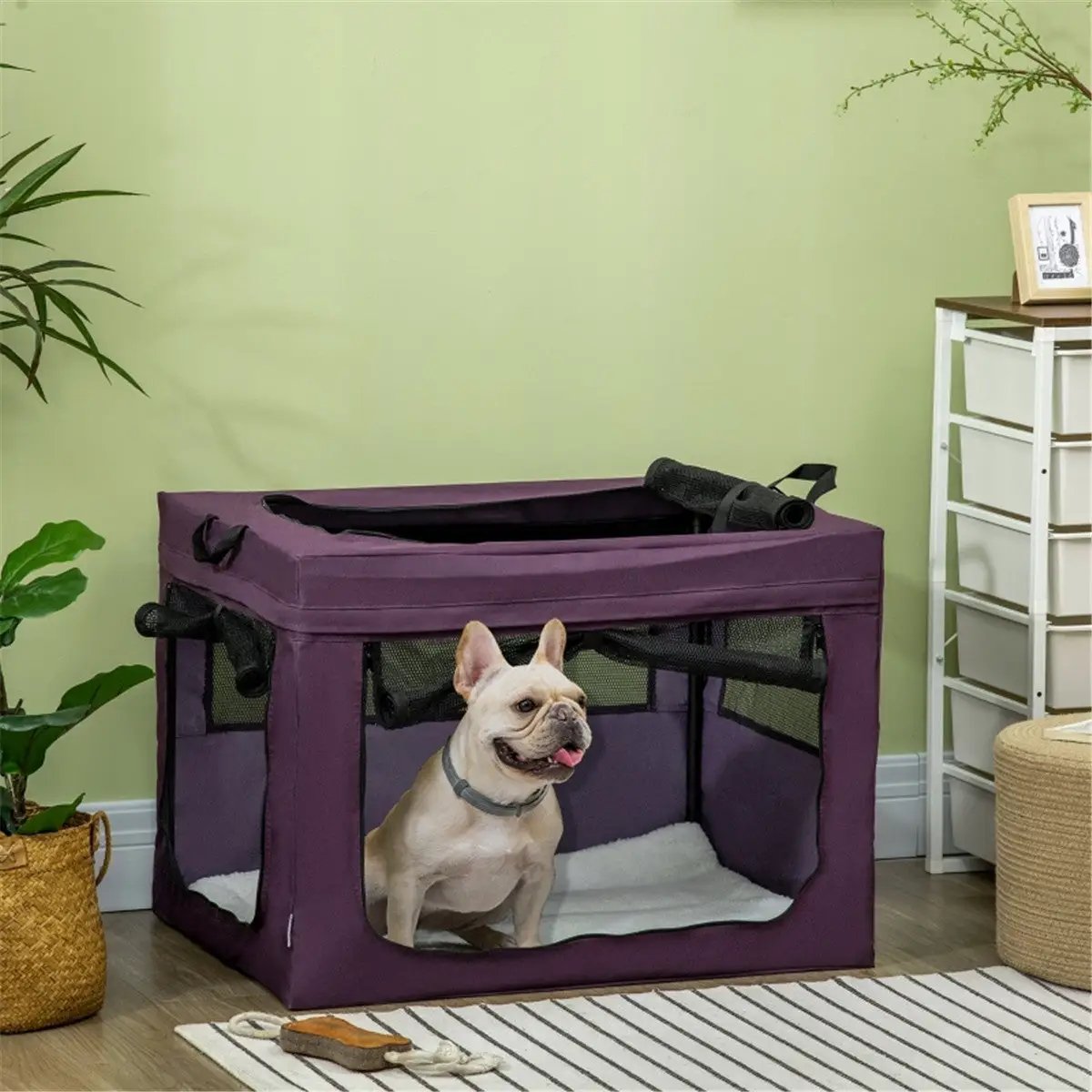 Pet Carrier - from N/A