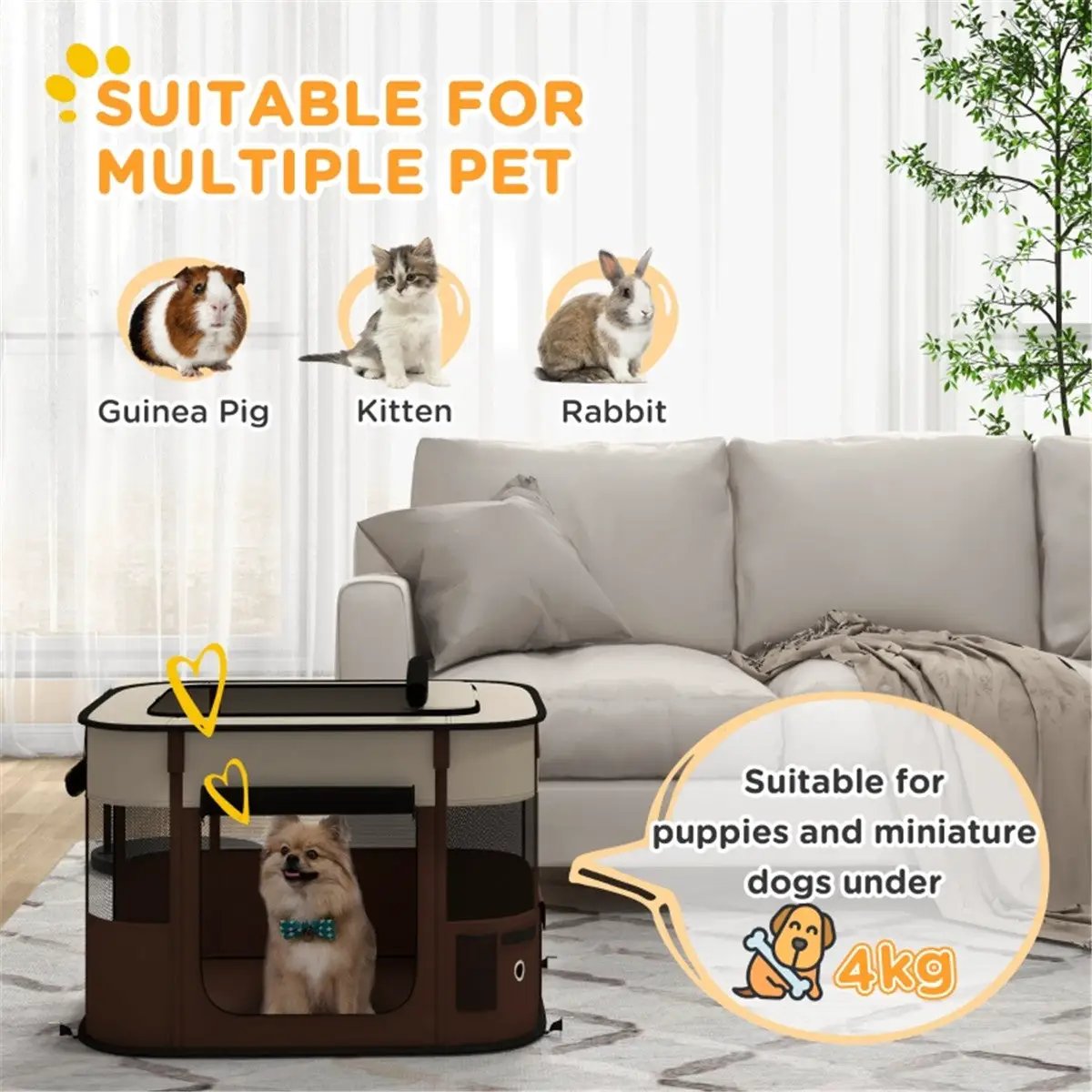 Pet Carrier - from N/A