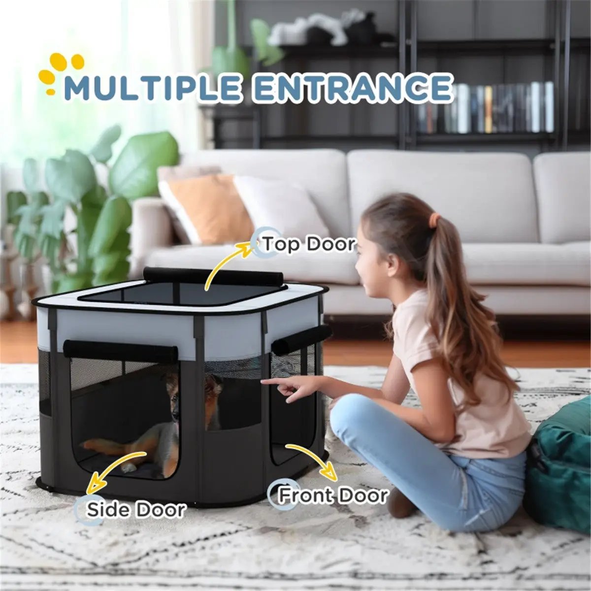 Pet Carrier - from N/A