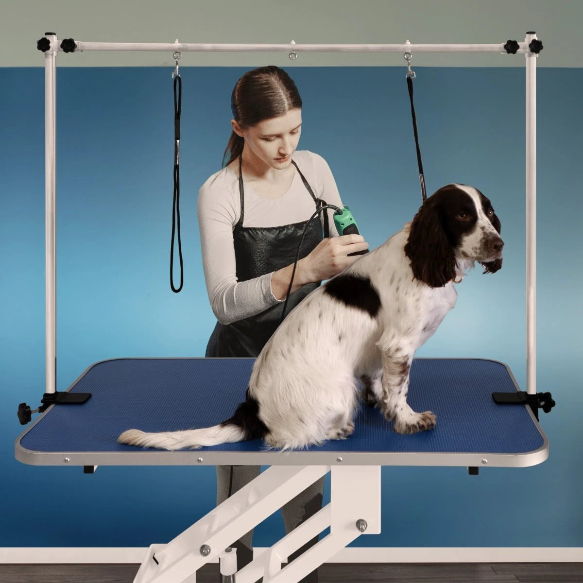 White Hydraulic Grooming Table - Blue Table Top by Monster Shop