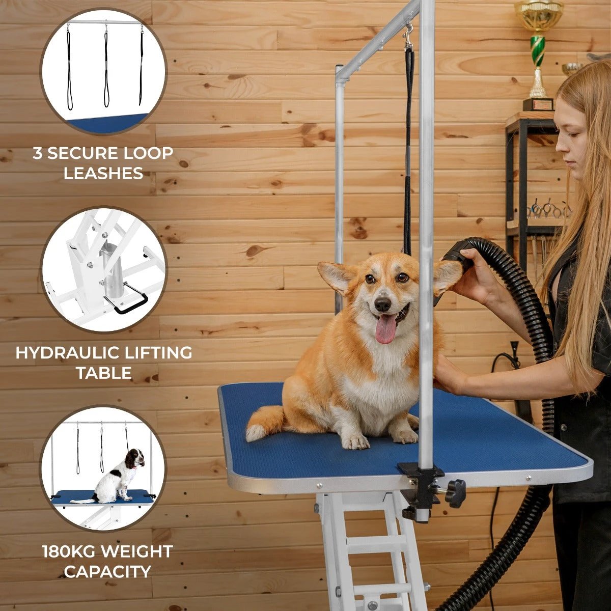 White Hydraulic Grooming Table - Blue Table Top by Monster Shop
