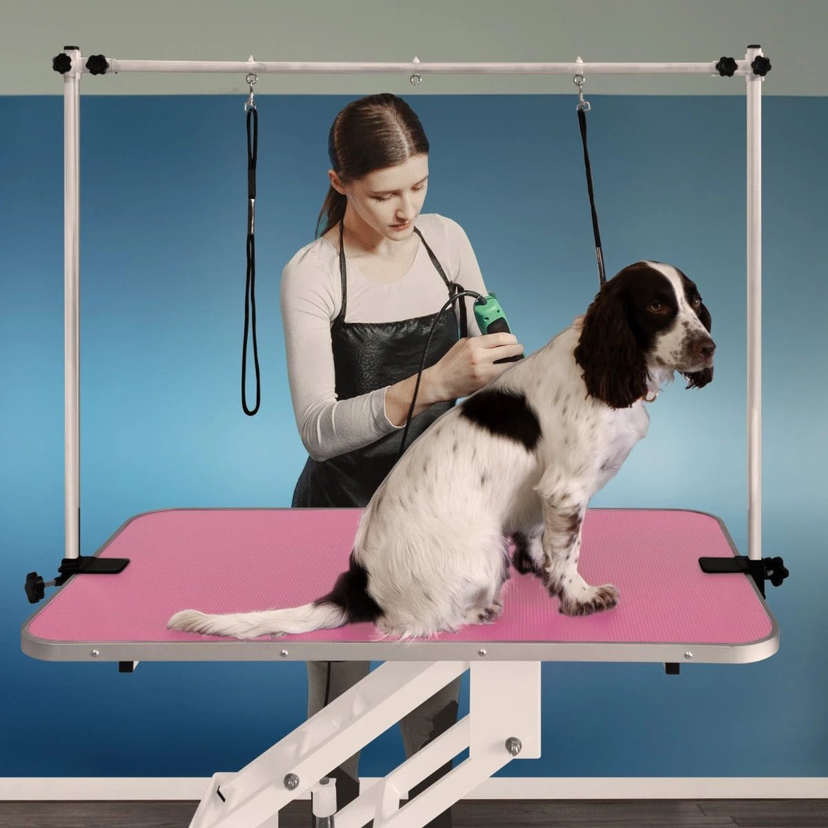 White Hydraulic Grooming Table - Pink Table Top by Monster Shop