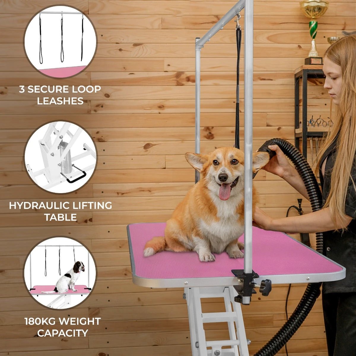 White Hydraulic Grooming Table - Pink Table Top by Monster Shop