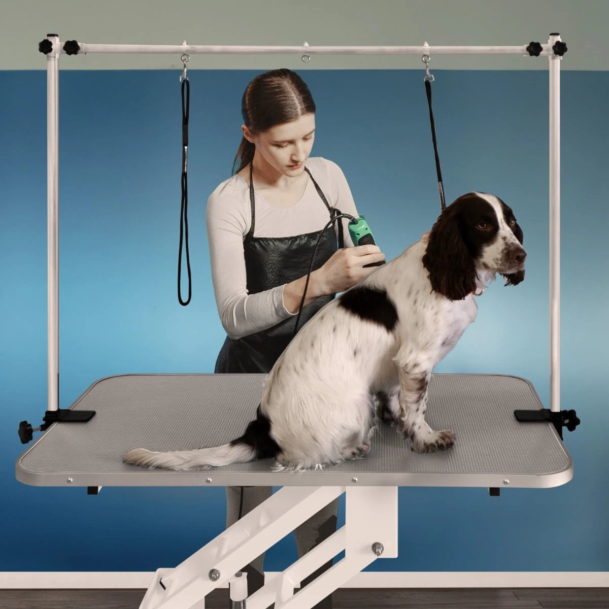 White Hydraulic Grooming Table - Grey Table Top by Monster Shop