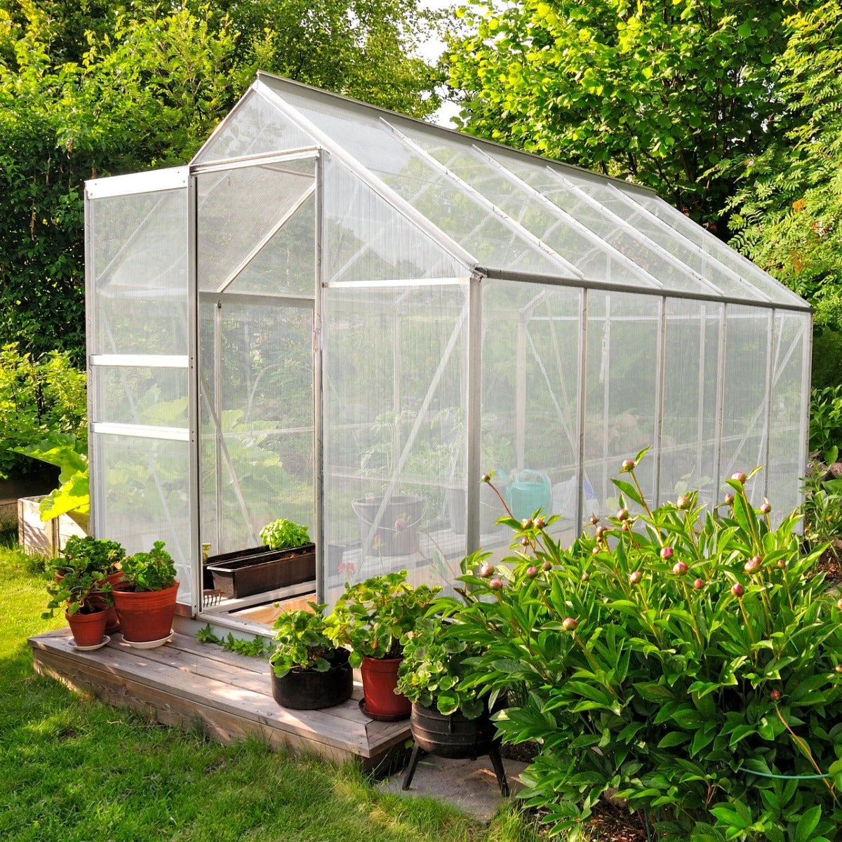 Polycarbonate Greenhouse 6ft x 8ft – Silver by Monster Shop