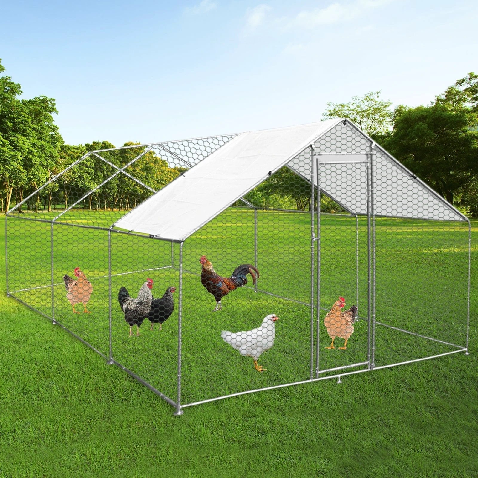 Chicken Run 4m x 6m x 2m by Monster Shop