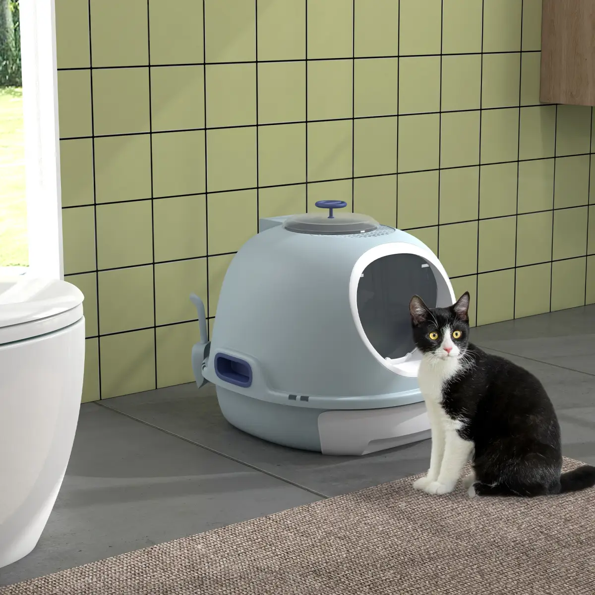 Pawhut Cat Litter Box Pet Toilet With Scoop Enclosed Drawer Skylight Easy To Clean - Cat Litter