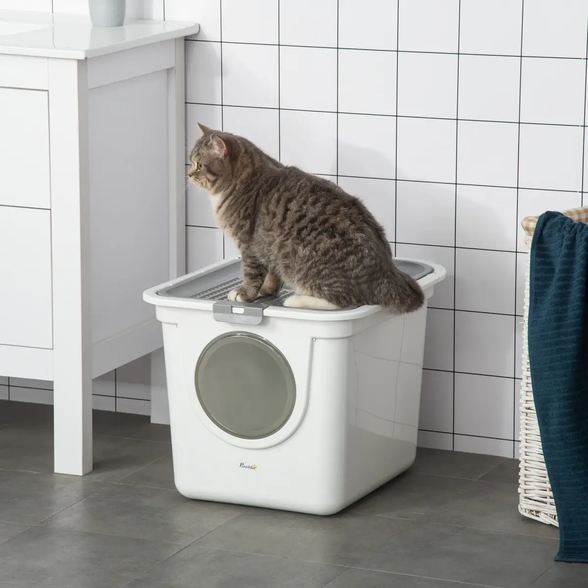 Pawhut Cat Litter Tray Pet Litter Box Toilet w/ Front Entrance, Top Exit, Scoop - White - Cat Litter