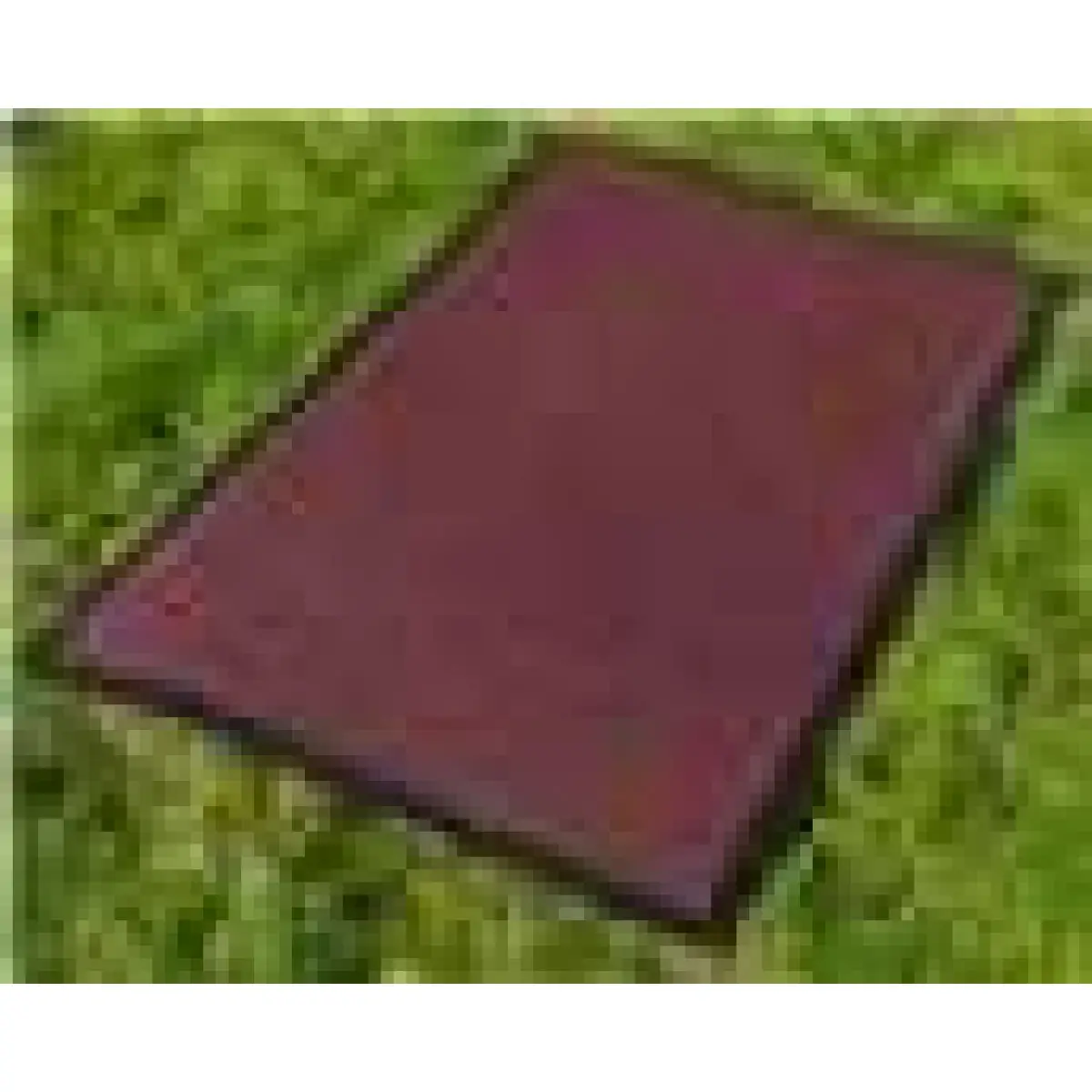 Un-Branded RED BARRIER MATT 40 x 60 - Barrier Mats