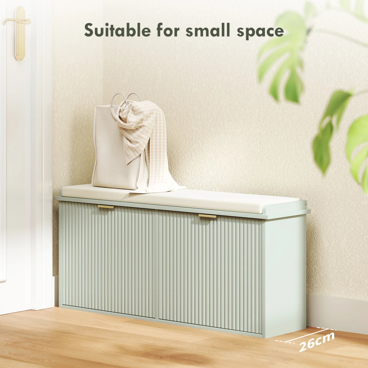 N/A Shoe Storage Cabine -