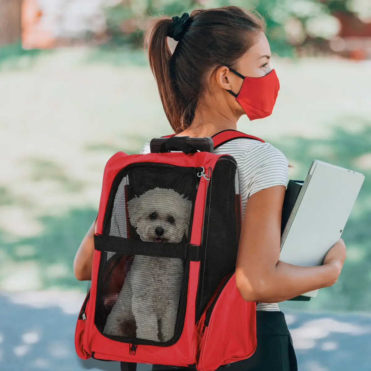 Pawhut Pet Travel Backpack Bag Cat Puppy Dog Carrier w/ Trolley and Telescopic Handle - Pet Carrier