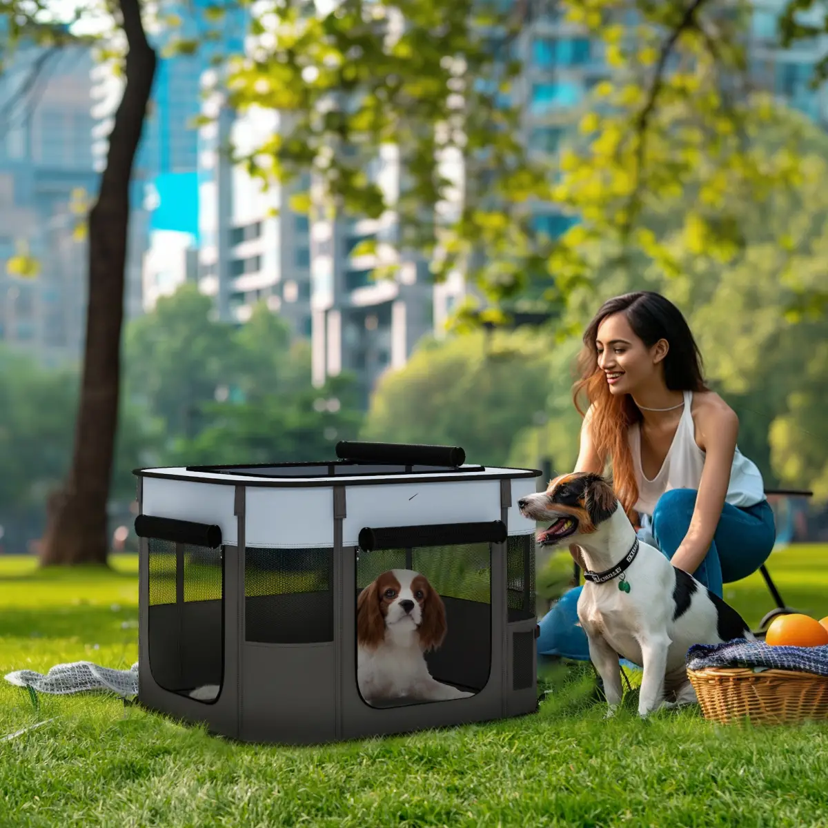 PawHut PawHut Portable Dog Pen for Puppies, Rabbits, Kittens, Guinea Pigs - Grey - Pet Playpen