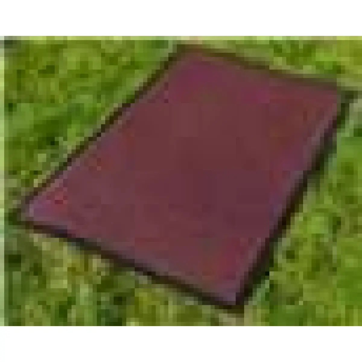Un-Branded RED BARRIER MAT 50X80 - Rug