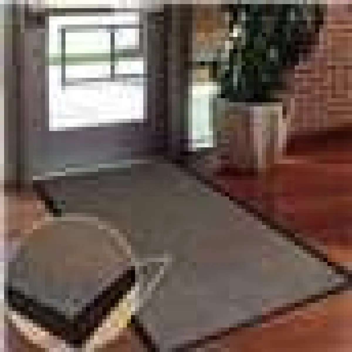 Un-Branded BROWN BARRIER MAT 60X80 - Rug