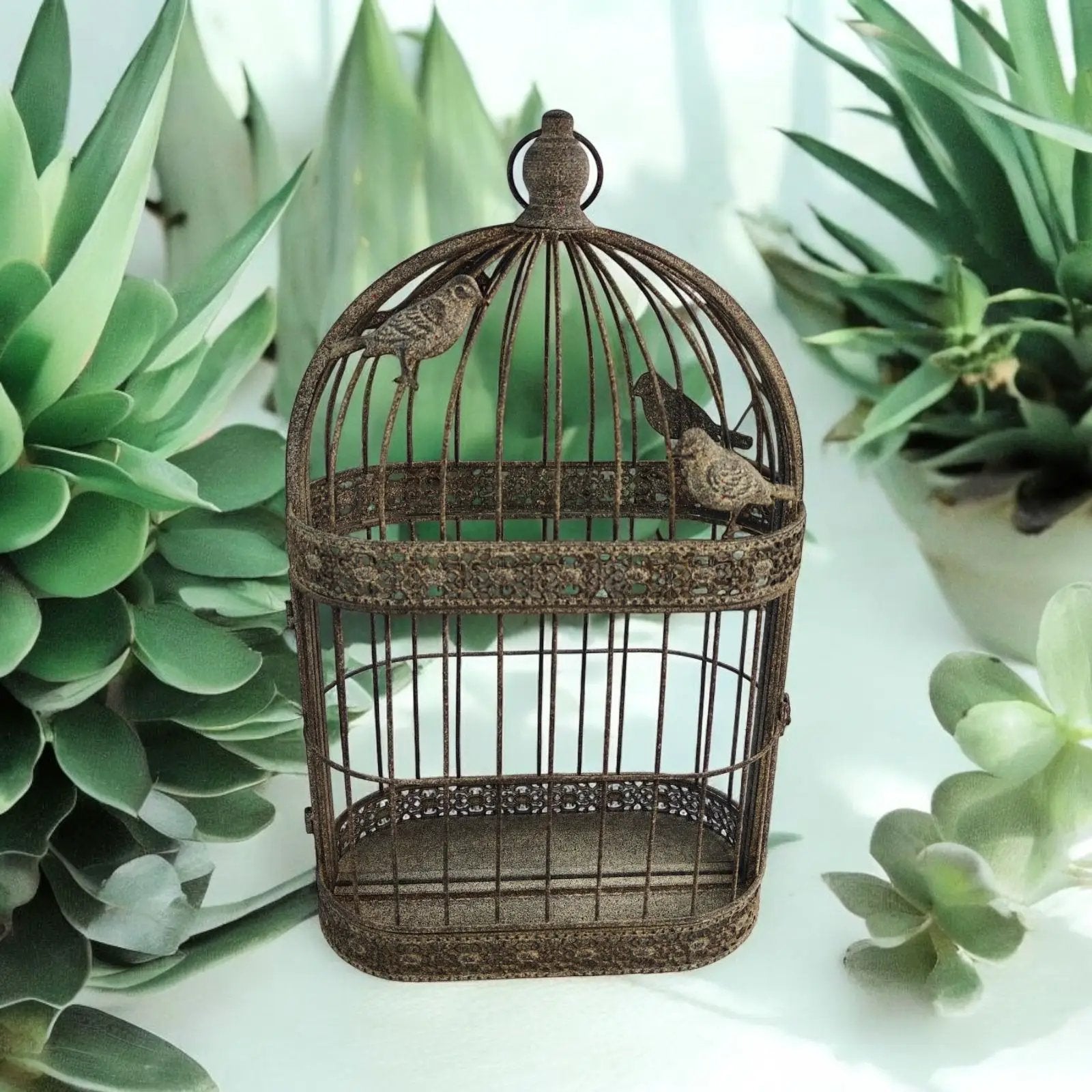 MSL 60CM WALL MIRROR - Mirror