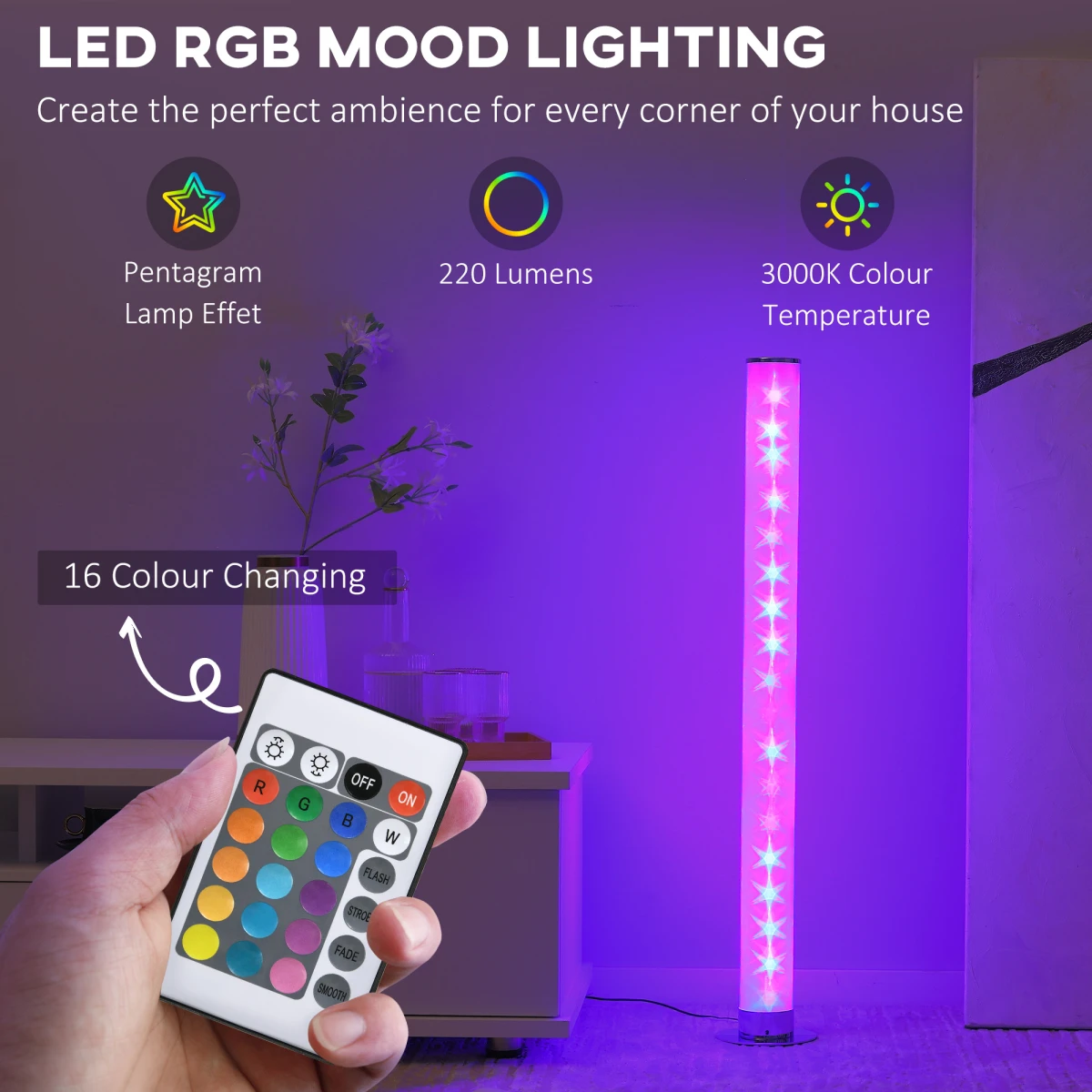 HOMCOM LED Floor Lamp 100.6 cm RGB Mood Lighting for Living Rooms - Lamp