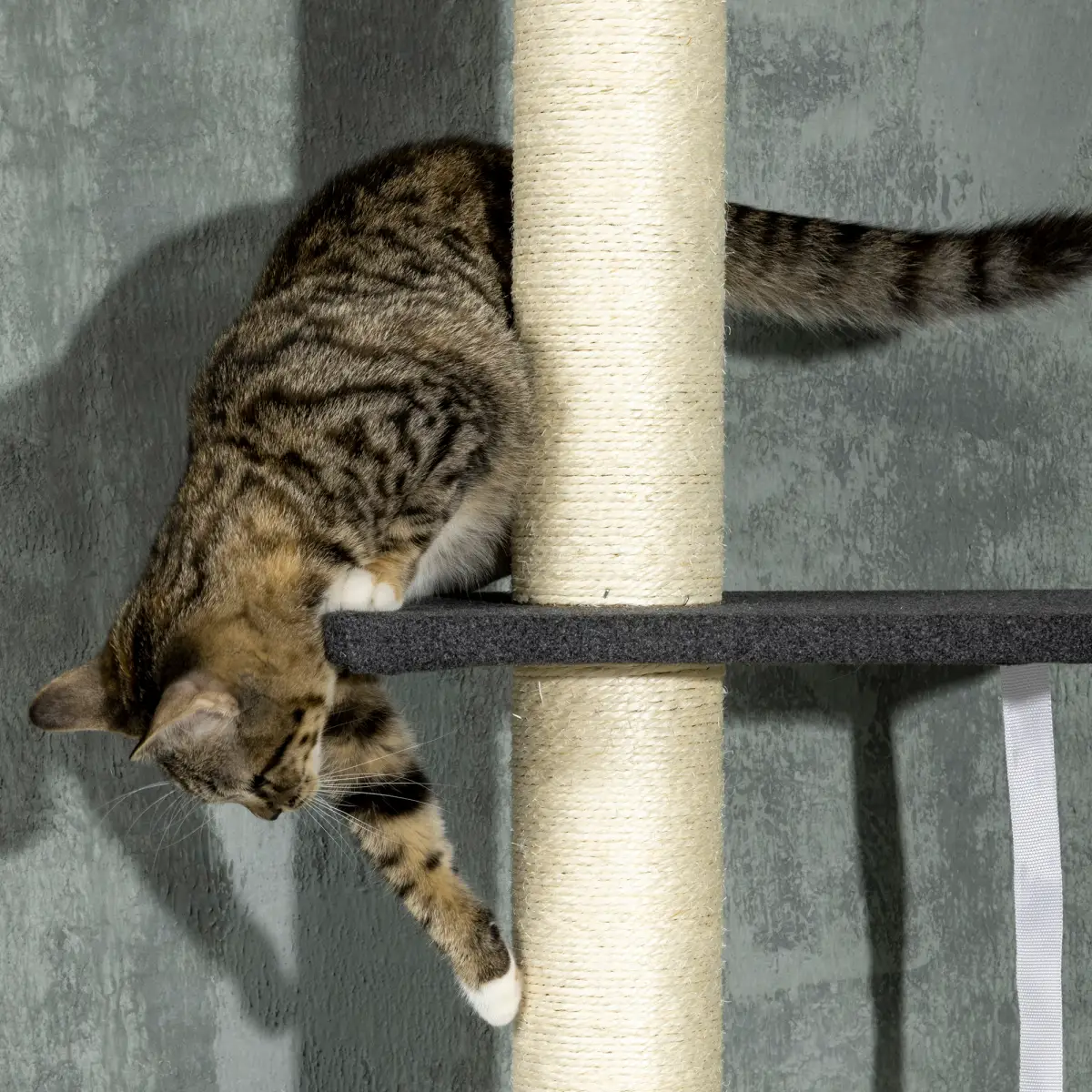 PawHut PawHut Floor-To-Ceiling Cat Tree, Height Adjustable, Black - Cat Tree
