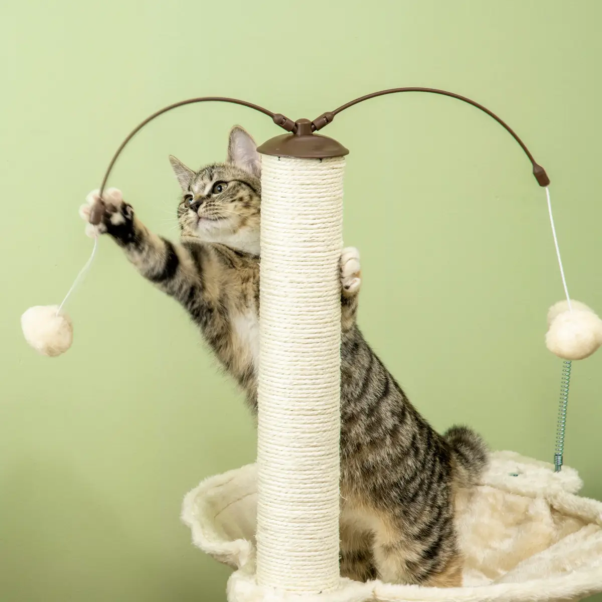 Unbranded Cat Tree for Indoor Cats w/ Scratching Posts Hammock, Toy Ball - Beige Pawhut - Cat Tree