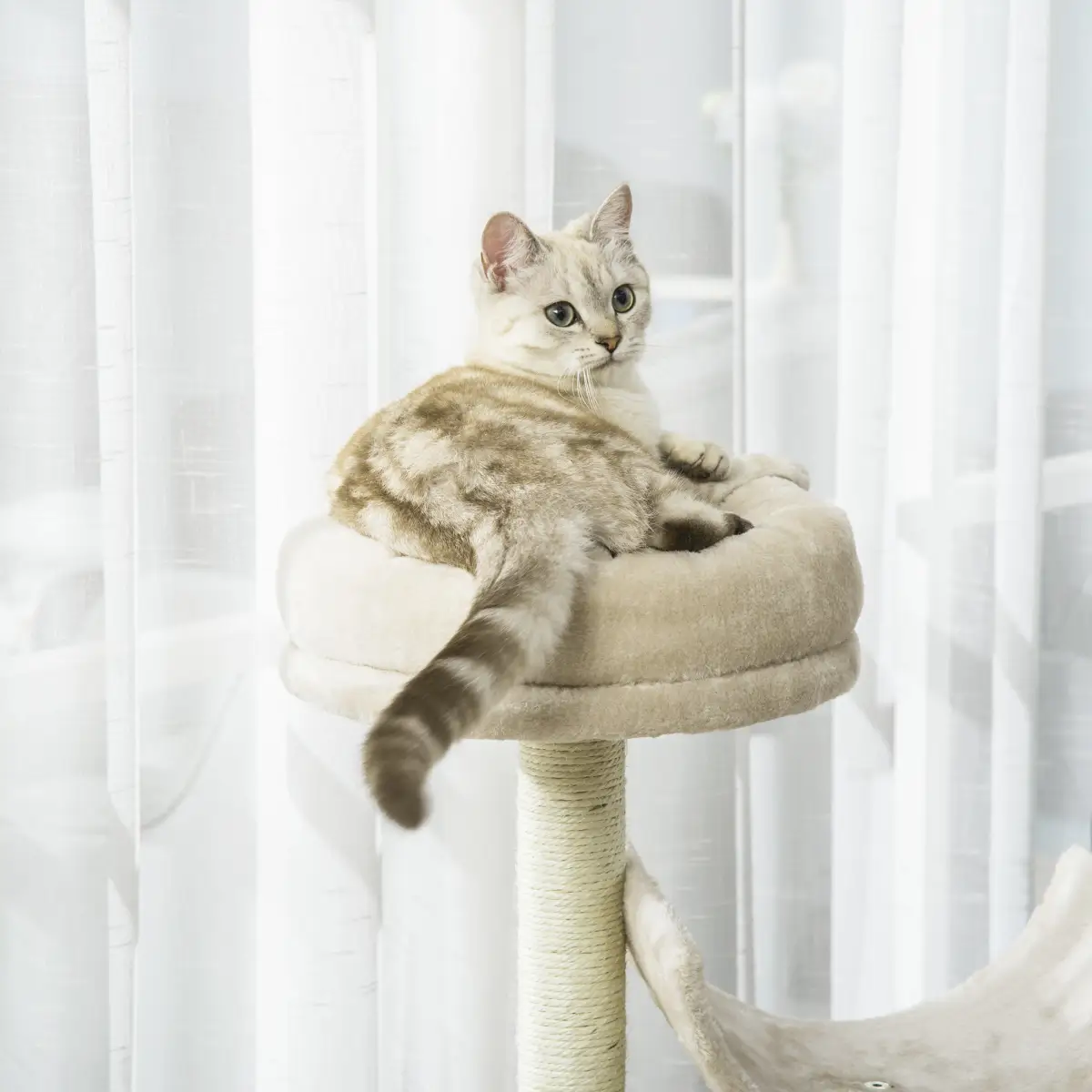 Pawhut Multi-Level Large Cat Tree Scratching Post Perch Play Center Tunnel Beige - Cat Tree
