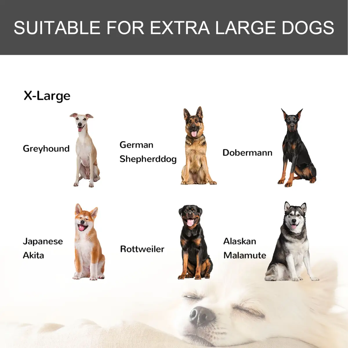 Unbranded 81x125cm Metal Dog Cage Kennel Locking Door & Wheels Extra Large Pets Pawhut - Dog Kennel