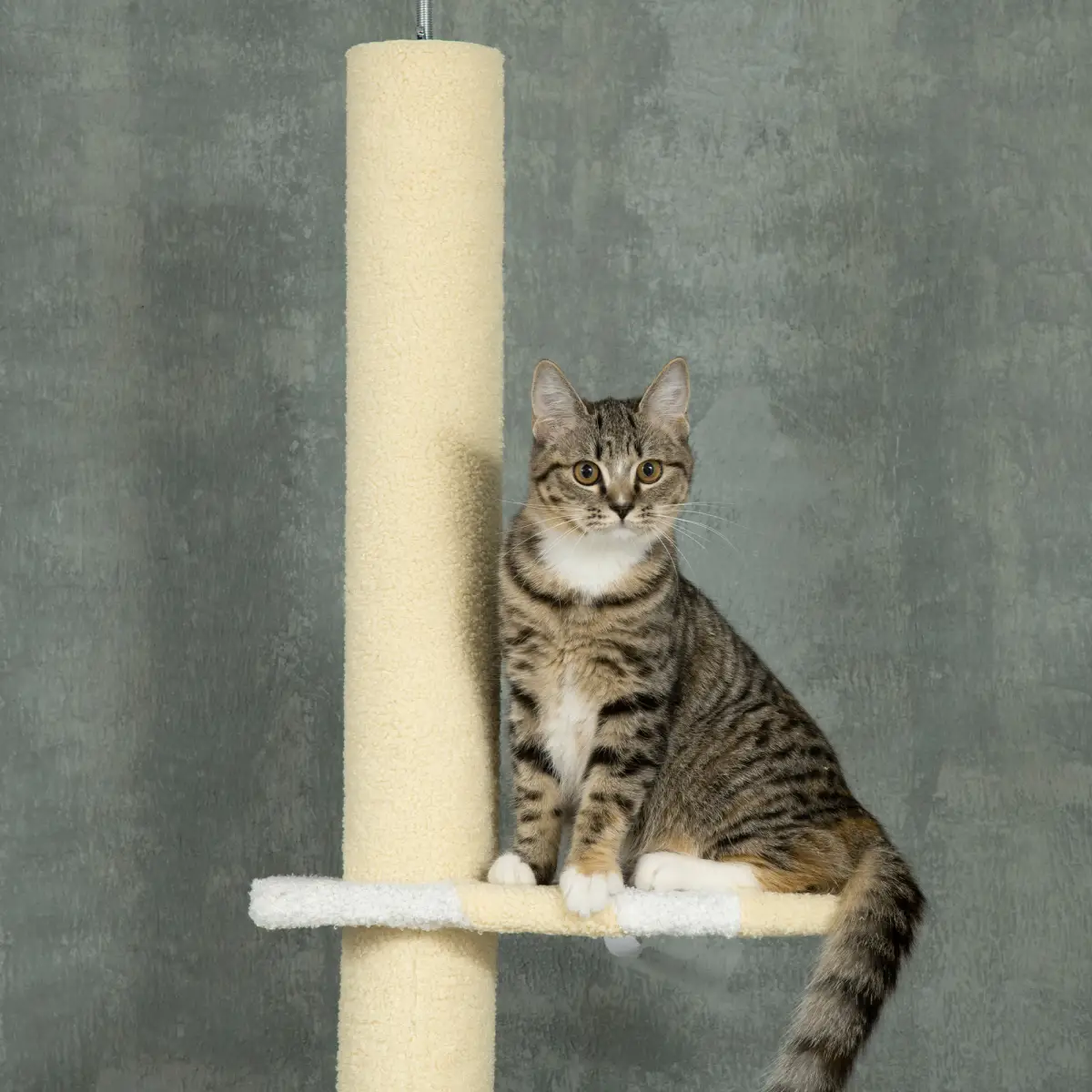 Unbranded 260cm Height Adjustable Floor-To-Ceiling Cat Tree w/ Anti-Slip Kit - Yellow - Cat Tree