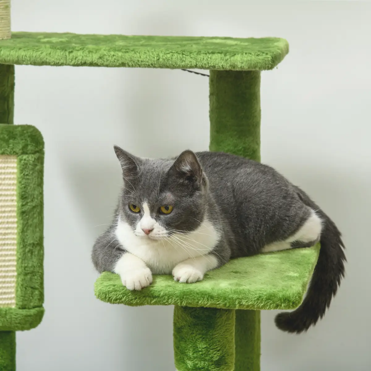 PawHut PawHut 142cm Cat Tree Tower with Scratching Post Hammock Ball Platforms Green - Cat Tree