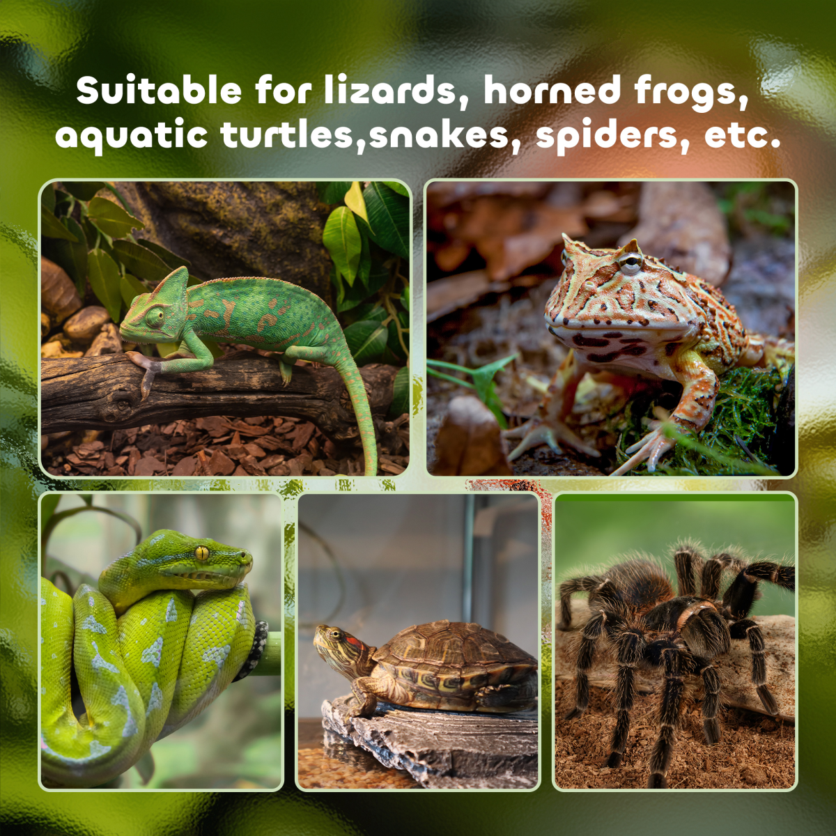 50 x 30 x 35 cm Reptile Terrarium for Lizards, Horned Frogs, Snakes, Black - from Pawhut