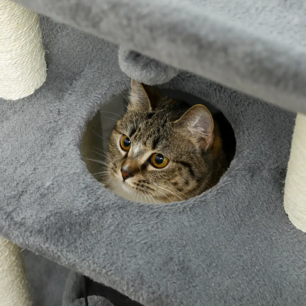 PawHut Cat Tree Tower for Indoor Cats w/ Scratching Posts, Pad, Light Grey, Toy Ball - Cat Tree