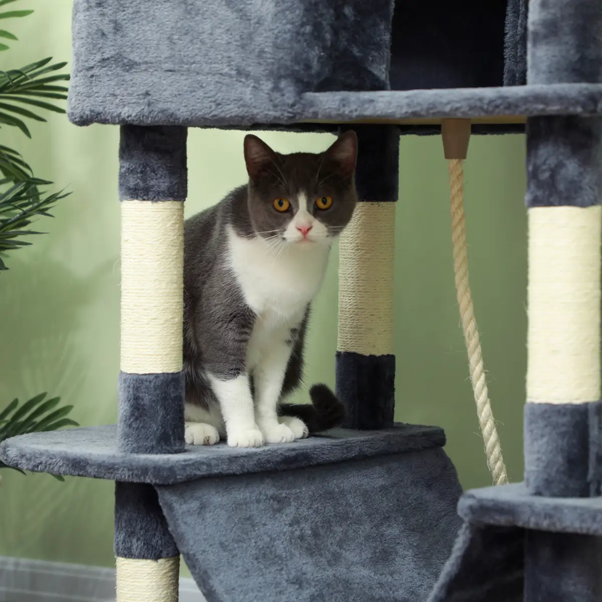 PawHut PawHut 206cm Cat Tree with Scratching Posts, Beds, Condos, Toys, Dark Grey - Cat Tree