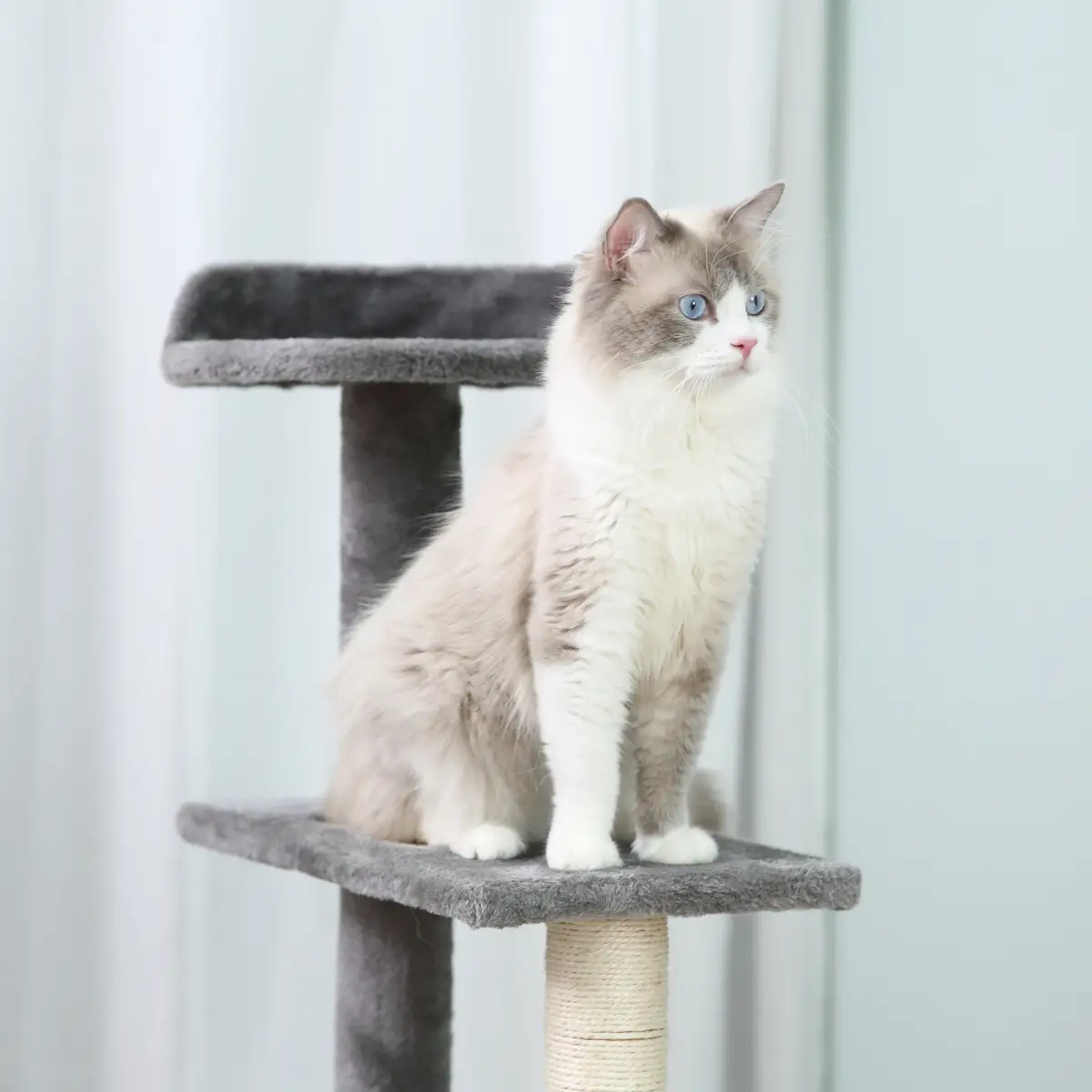 Unbranded Cat Tree Activity Center Kitten Climbing Tower Scratching Post Plush Pawhut - Cat Tree
