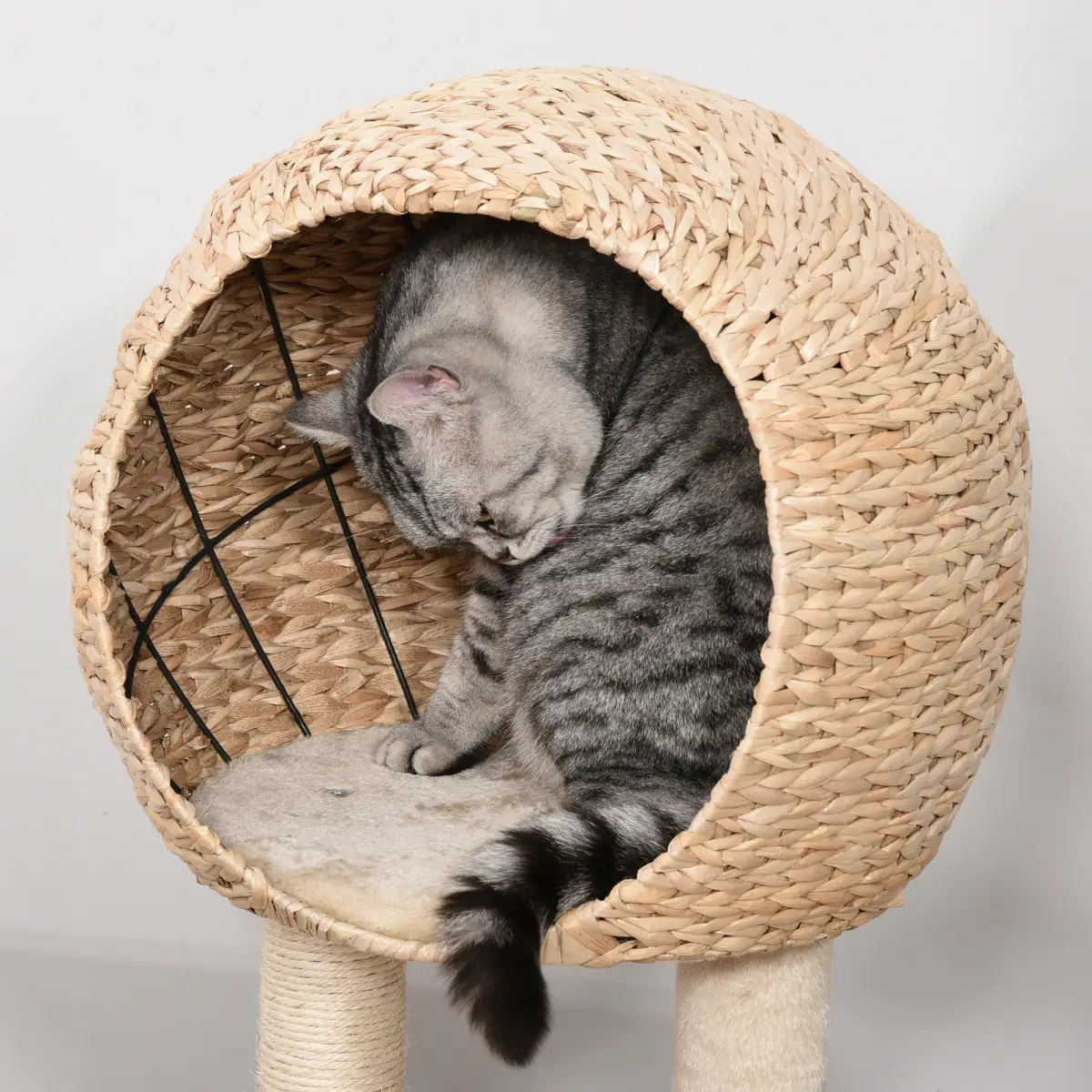Unbranded 100cm Cat Tree Tower Kitten Climbing Tower W/ Scratching Post Condo Pawhut - Cat Tree