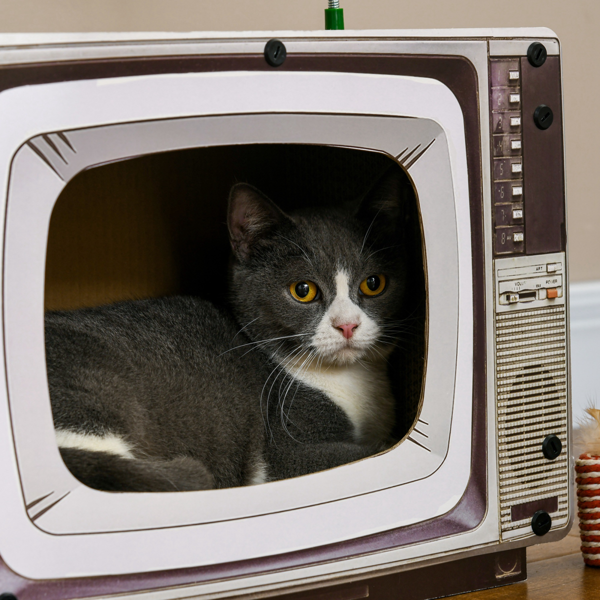 PawHut PawHut TV-Shaped Cardboard Cat House with Scratcher, Catnip, Toy Rat - Cat House