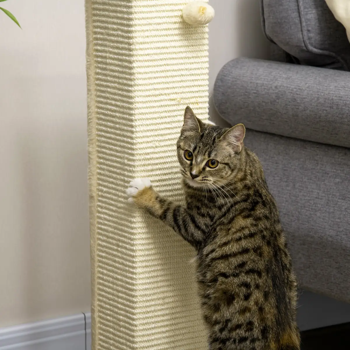 PawHut 80cm Sisal Rope Scratching Post w/ Toy Ball - White - Cat Tree