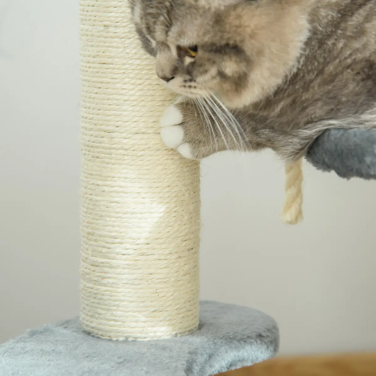Pawhut Cat Tree Scratcher Kitty Activity Play Center Post 2 Perch w/ Hanging Sisal Rope - Cat Tree