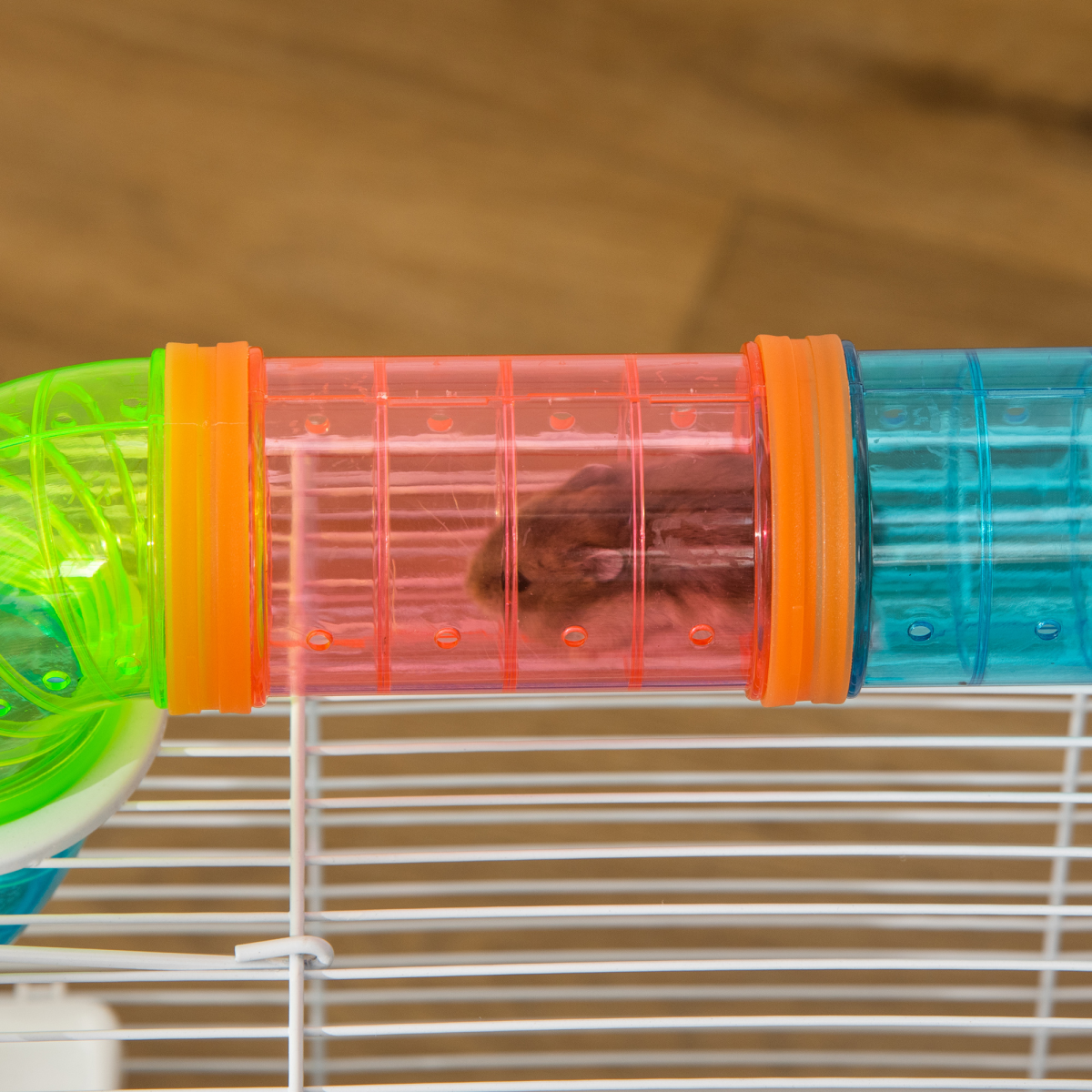 Hamster Cage Rodents House w/ Tubes Exercise Wheel, Water Bottle - Blue - from Pawhut