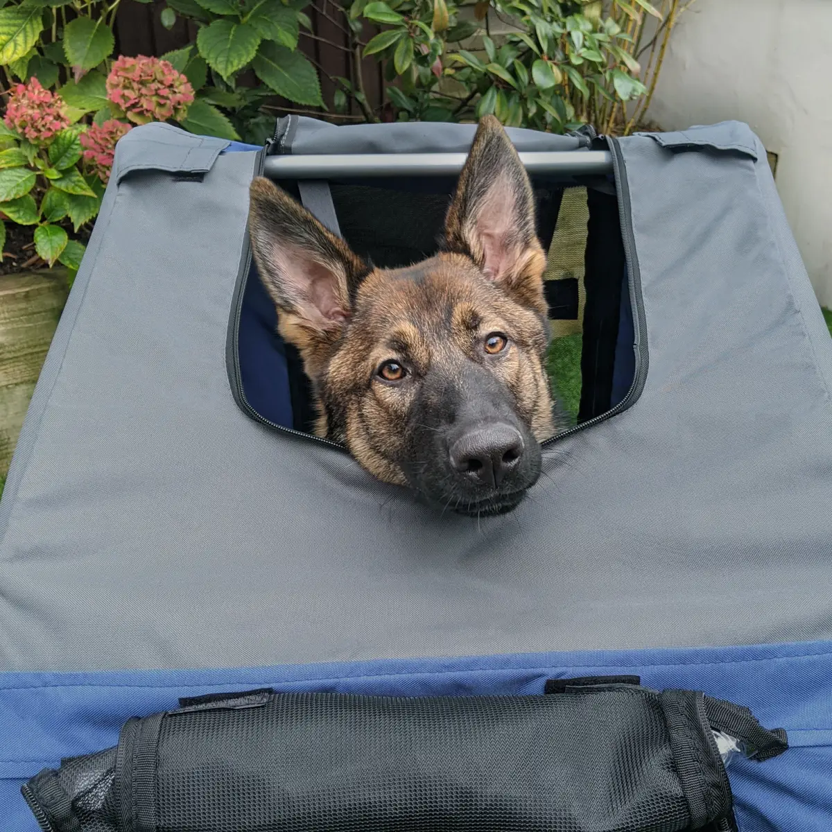 Pawhut Pet Bicycle Trailer Dog Cat Bike Carrier Water Resistant W/ Hitch Coupler Blue - Pet Carrier