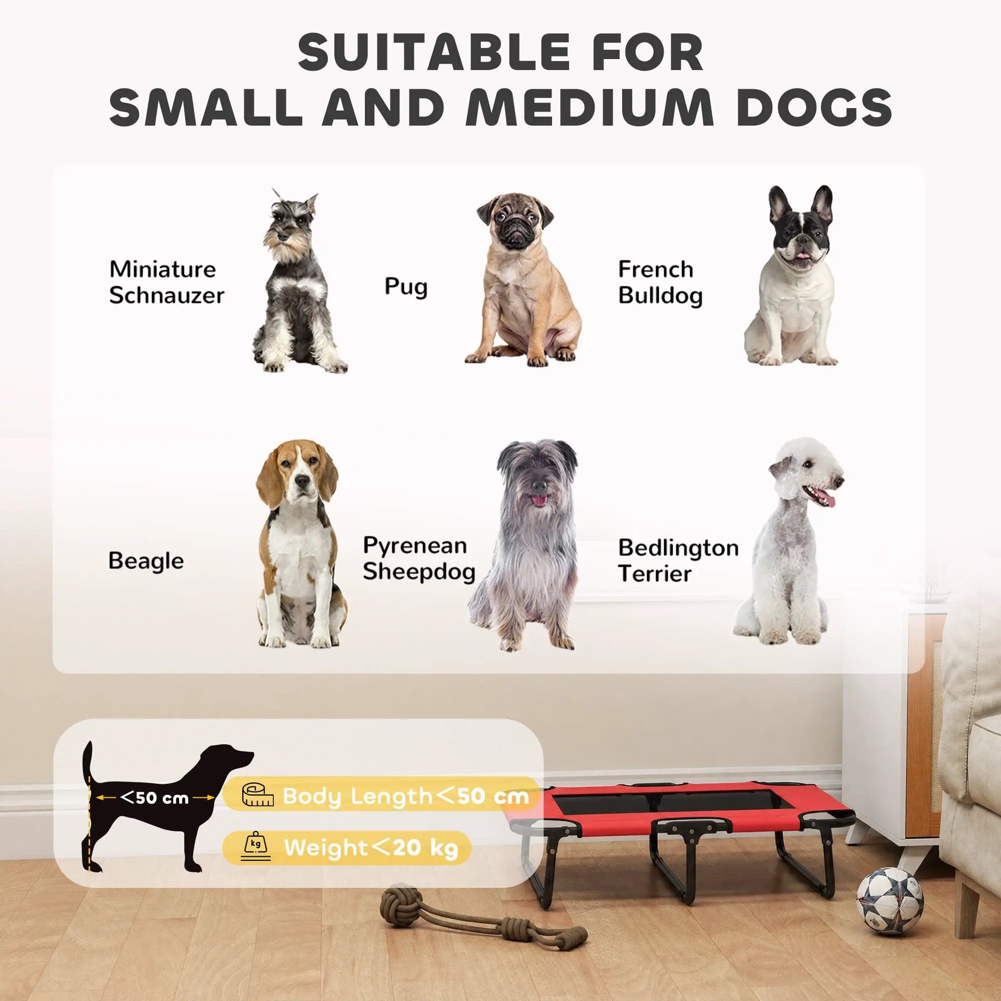 PawHut PawHut Raised Dog Bed with Breathable Mesh for S & M Dogs - Dog Beds