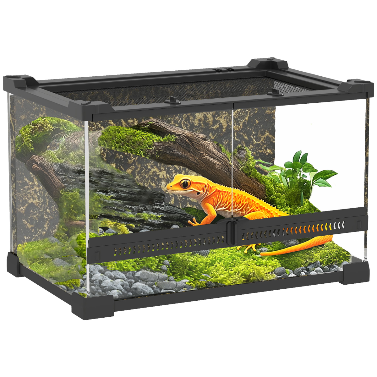 PawHut 10L Glass Terrarium, Reptile Vivarium with Stone Background - from PawHut