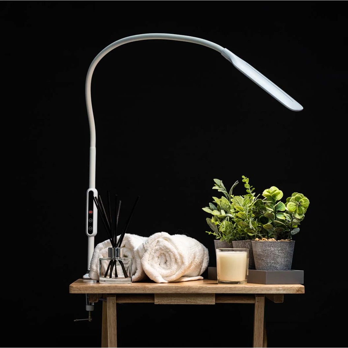 Native Lighting Home Symphony Lumina Desk Lamp 12in Gooseneck - Lamp