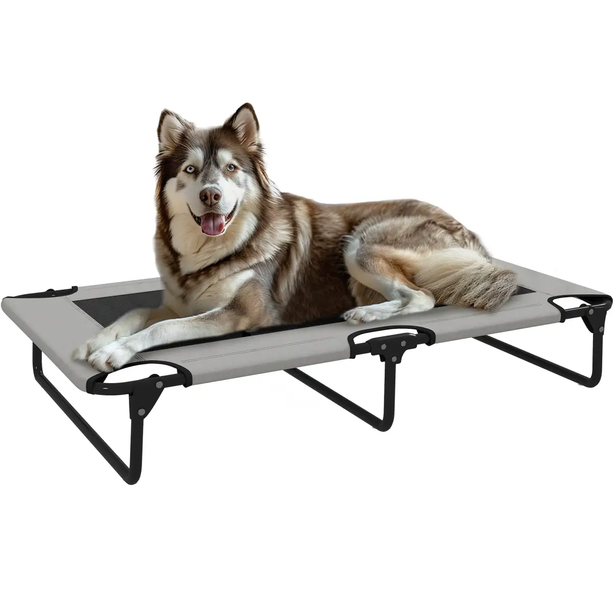 PawHut PawHut Raised Dog Bed with Breathable Mesh for S & M Dogs - Dog Beds