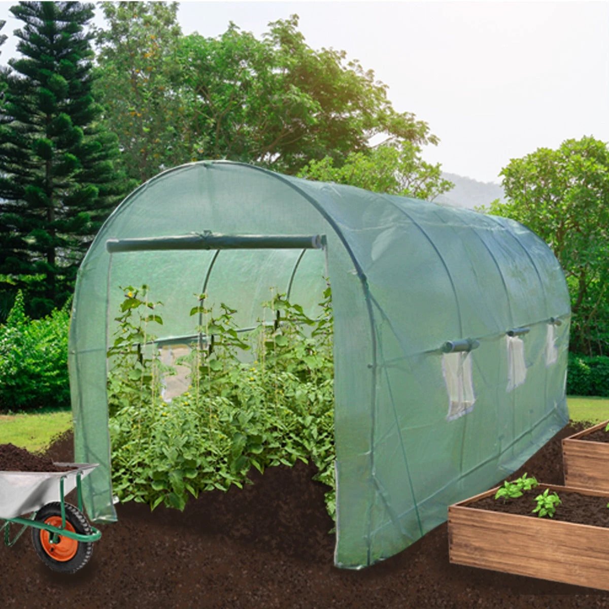 Polytunnel Greenhouse 6m X 3m 25mm Frame Durable Cover For Home Gardeners All Season Growing by Monster Shop