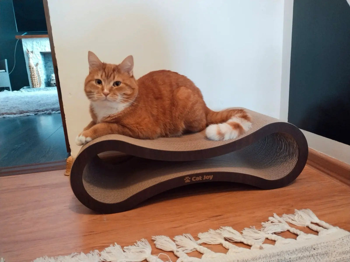 Pavilion — Compact Cardboard Cat Scratcher Tunnel, 68 cm - Cat Scratchers & Scratching Posts from CAT JOY