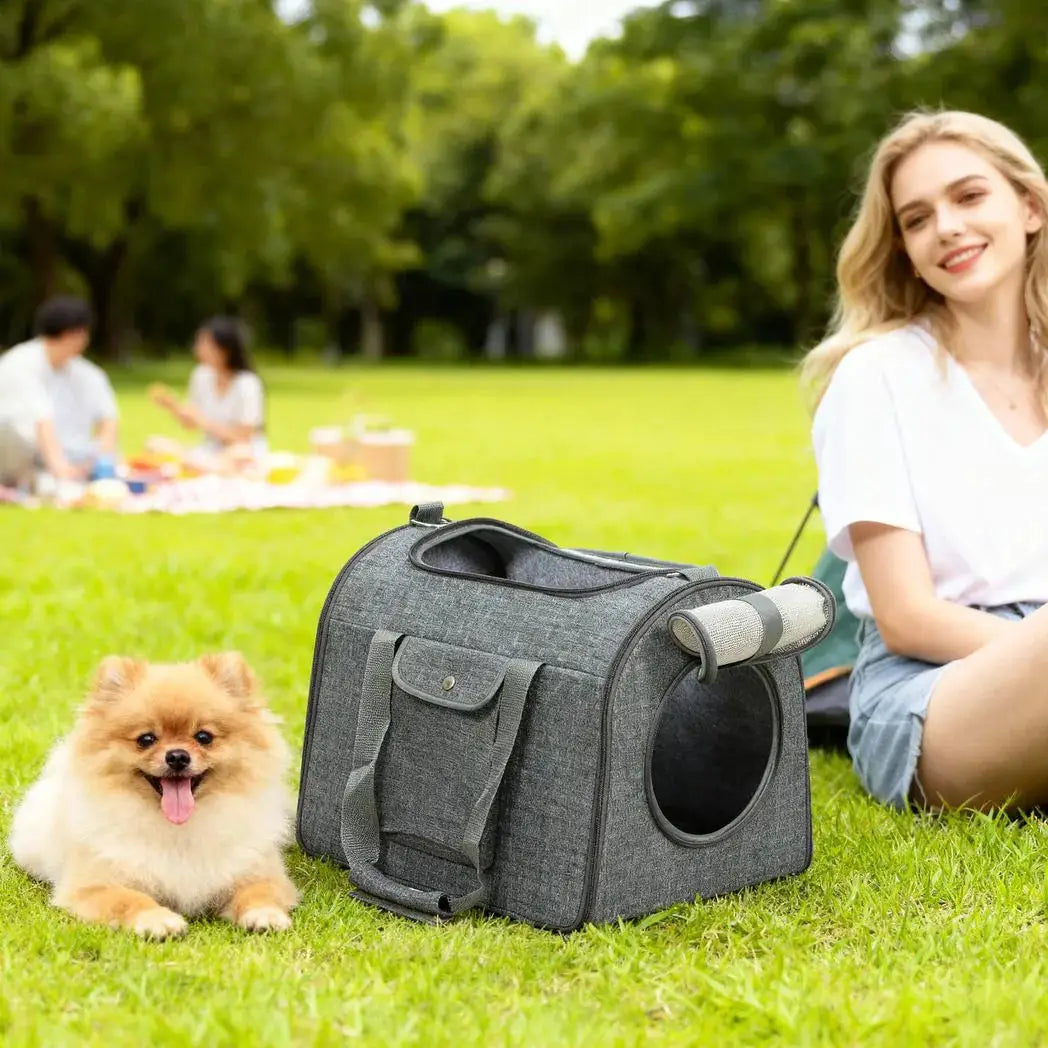 PawHut Soft Sided Cat Carrier Bag, Portable Foldable Pet Carrier with Shoulder Strap & Removable Mat for Small Pet Up to 10kg - from PawHut