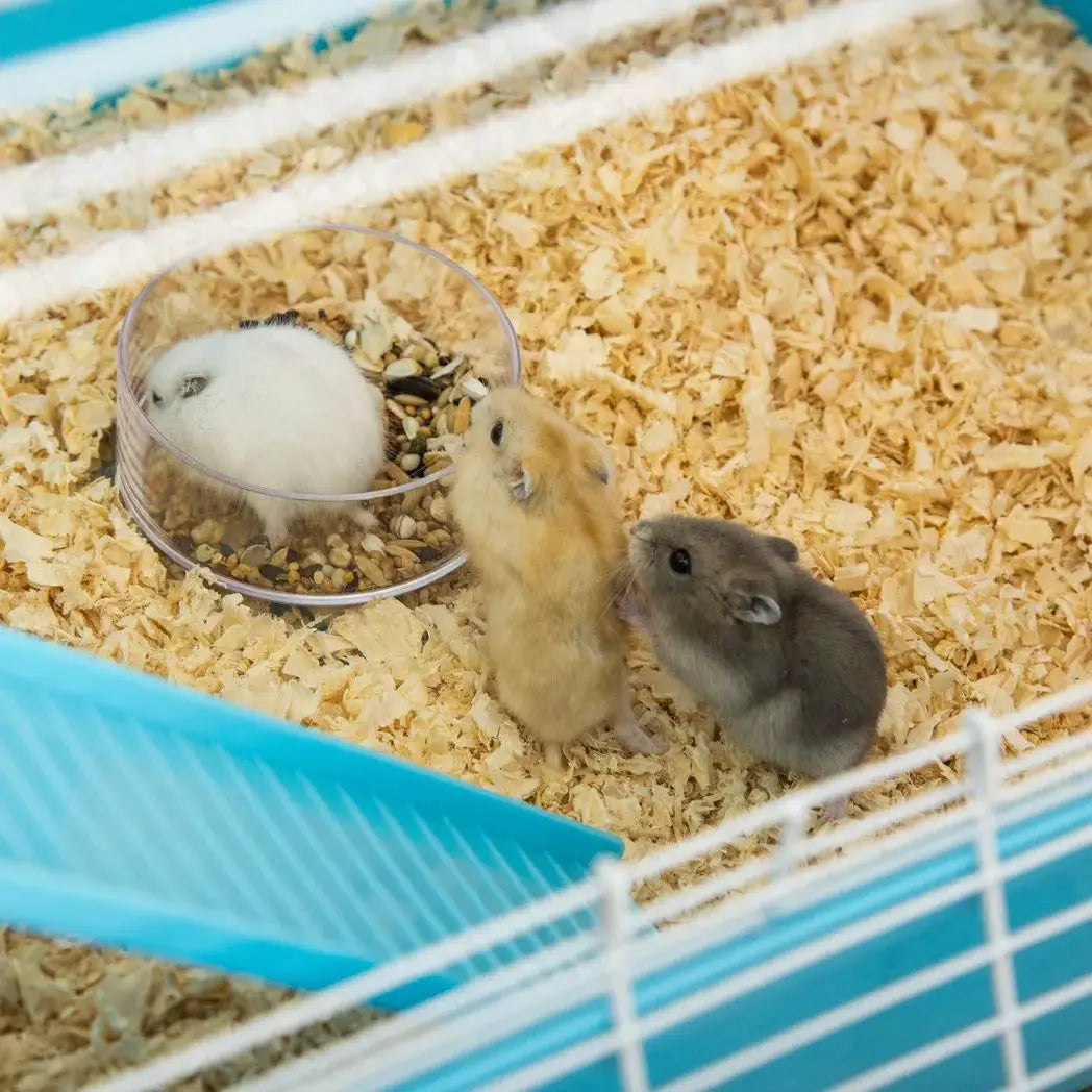 PawHut Hamster Cage w/ Water Bottle, Exercise Wheel, Tubes, Ramps - Light Blue - from PawHut