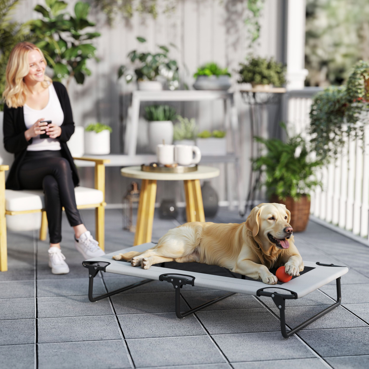 Dog House - from N/A