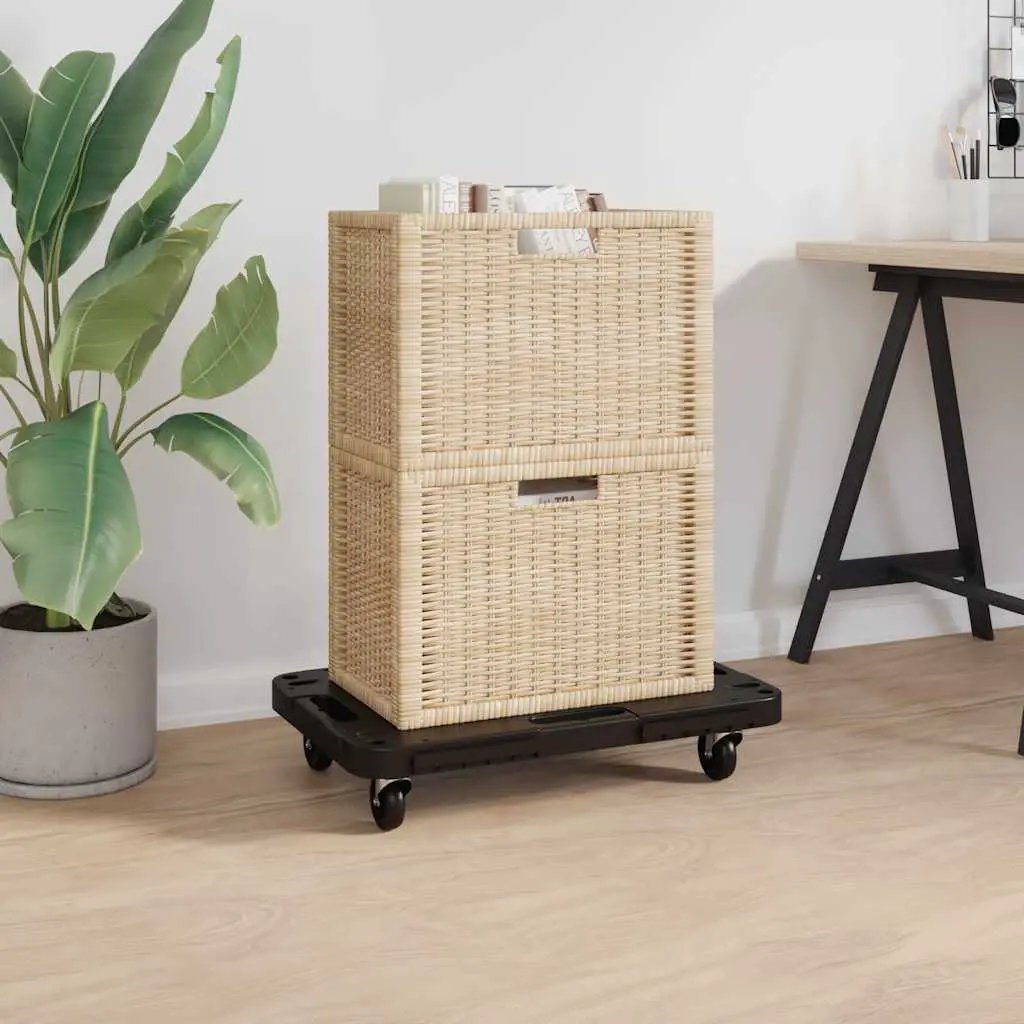vidaXL Transport Trolleys 2 pcs Black 58x38x12 cm Polypropylene - from vidaXL