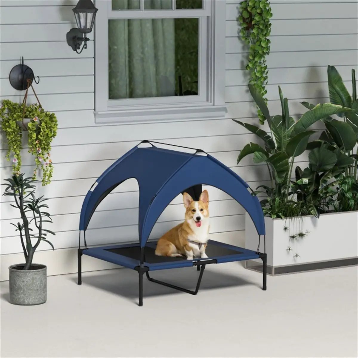 Pet Bed - from N/A