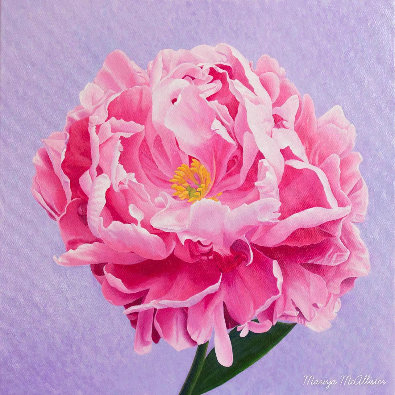 Beauty by Mariya McAllister